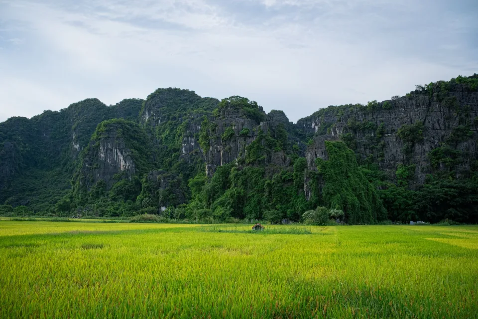 Kho gạo của Nguyễn Văn Quý